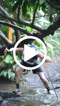 BIB:  <button type="button" onclick="openModal(27824726)" class="btn btn-primary btn-sm float-right" data-toggle="modal" data-target=".modal-high-quality">
                <i class="fa fa-download"></i> Download
                </button>